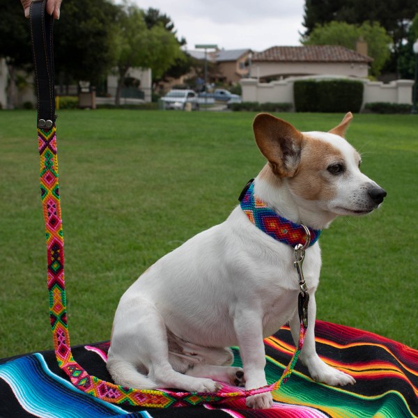 Handwoven Leash 1"