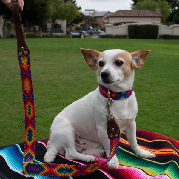 Handwoven Leash 1.5"