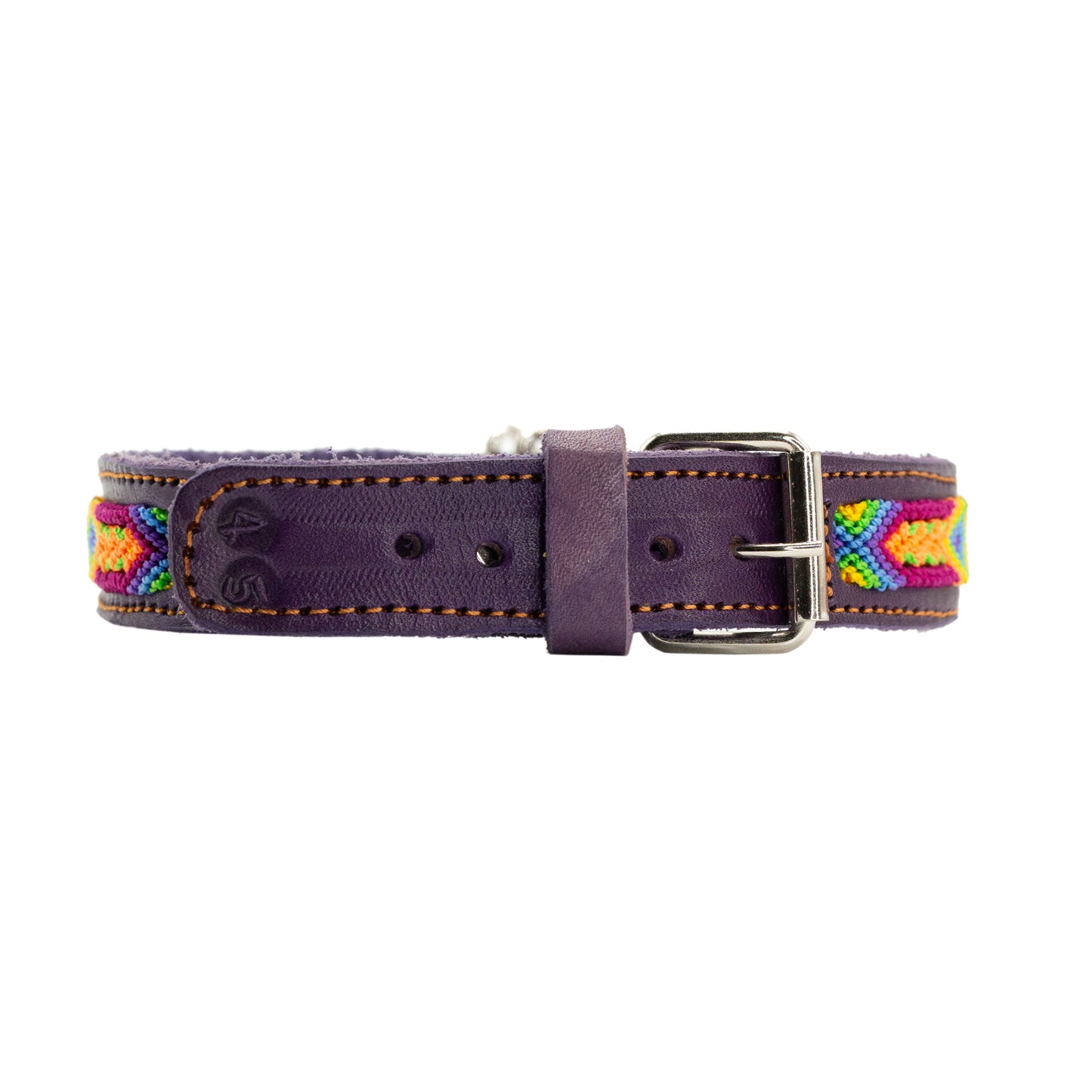 Unique pet collar reflecting the artistry of Mexican craftsmanship