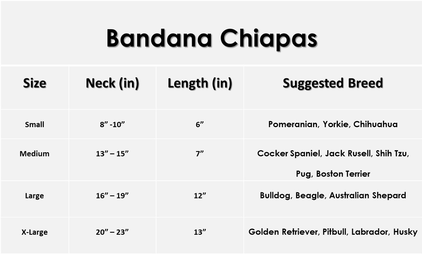 Bandana Chiapas XL
