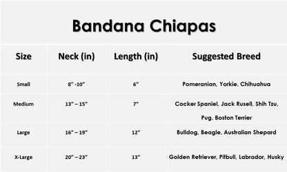 Bandana Chiapas S