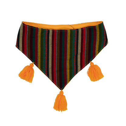 Color-explosion dog bandana, adding fun and flair to your pet's attire.