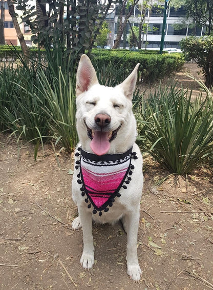 Bandana Tlaxcala M