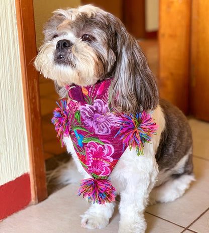 Bandana Chiapas L