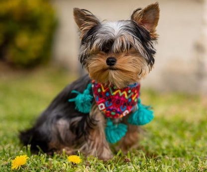 Bandana Palenque Mini